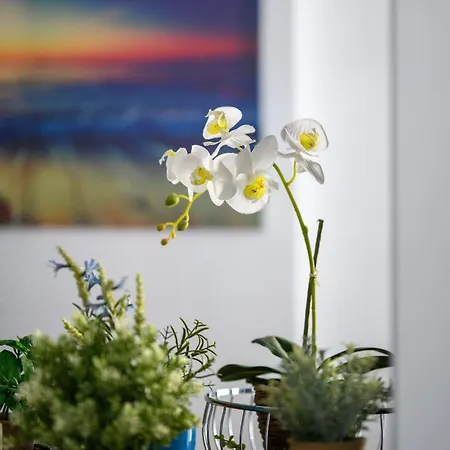 Julian 2 Bed * Larnaca